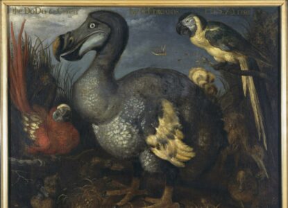 Savery Een dodo met enkele andere vogels c 1630 Natural History Museum Londen