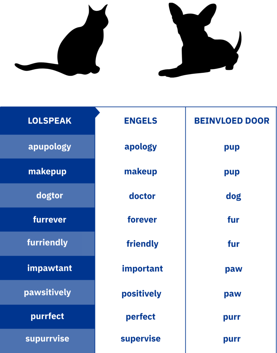 cat body language translation