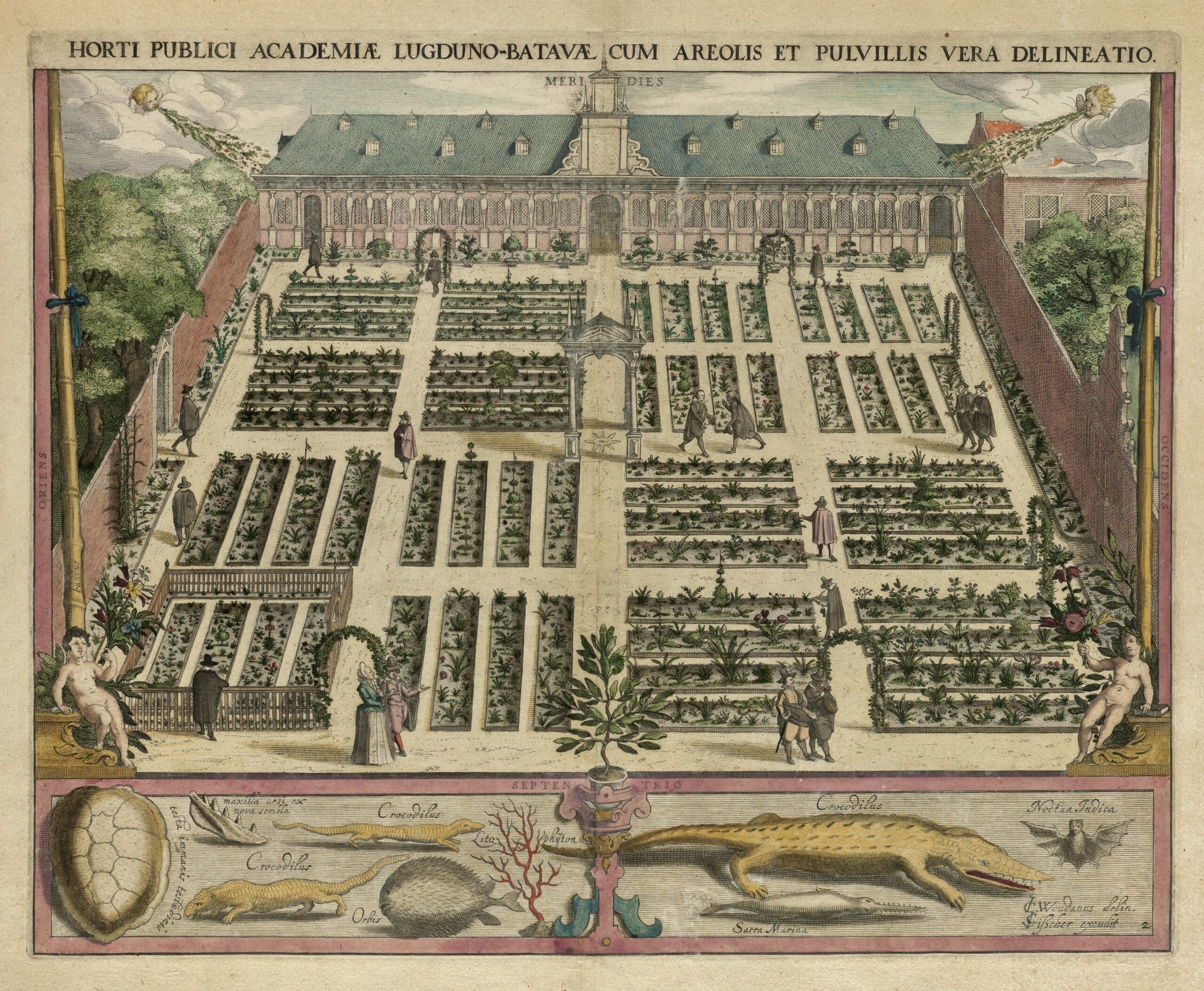 212 23 Gezicht op de Hortus Botanicus van de Universiteit van Leiden