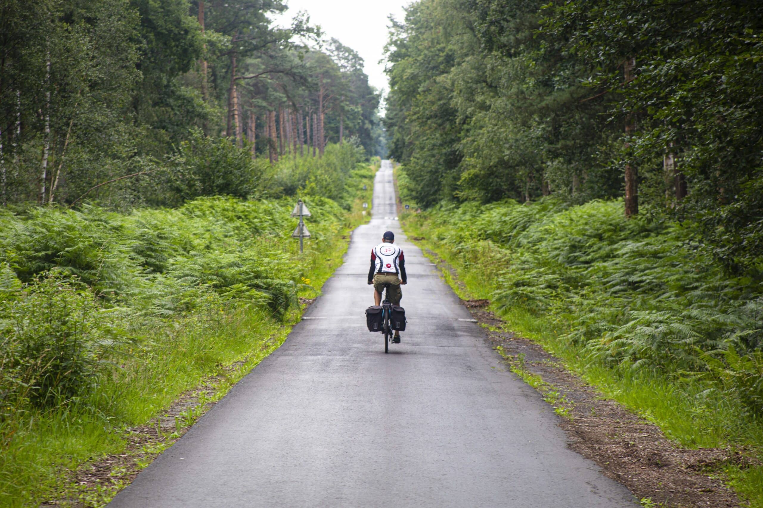 Chaussée Brunehaut Bos Van Wallers