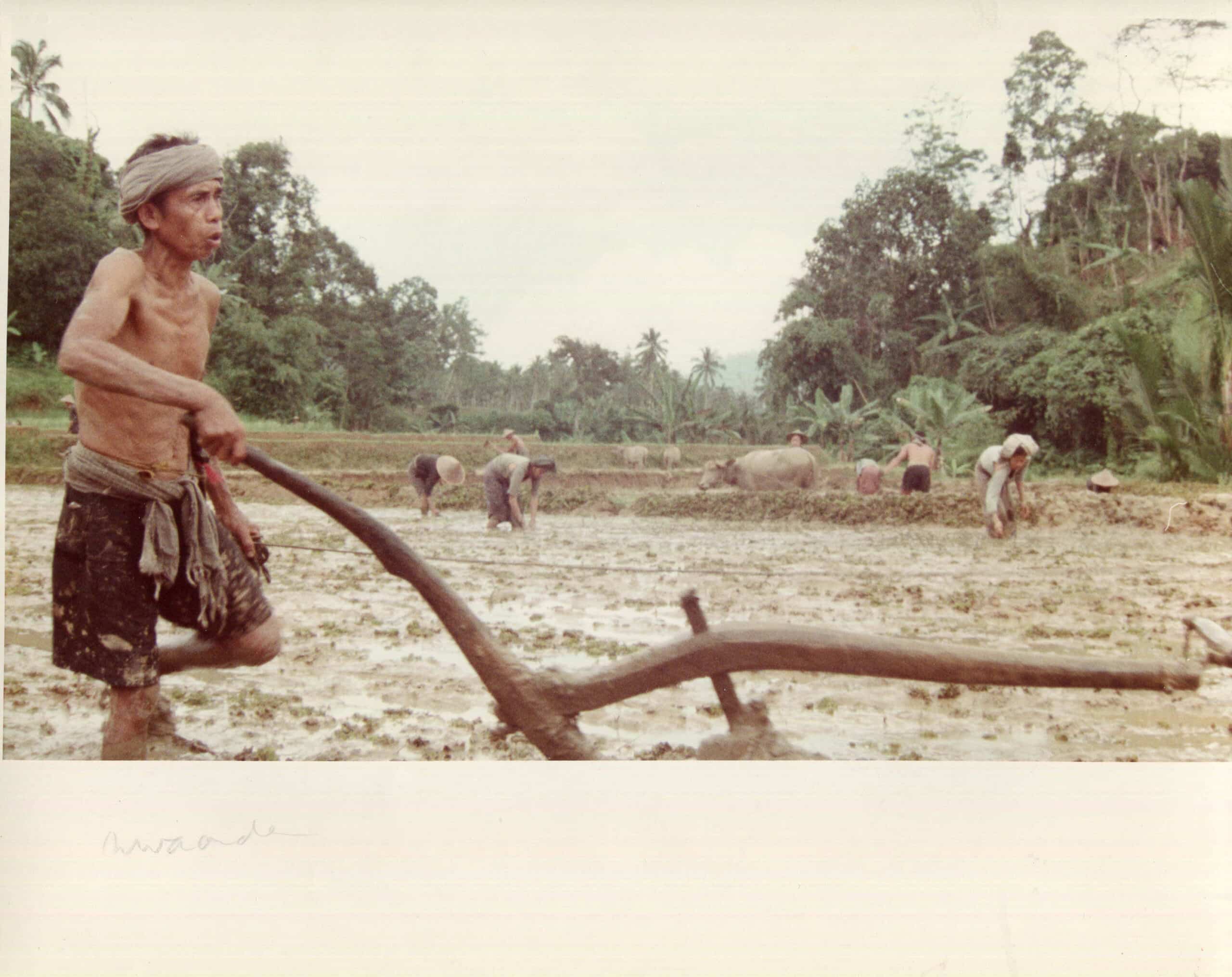 Foto-Film-Nederland-Max-Havelaar