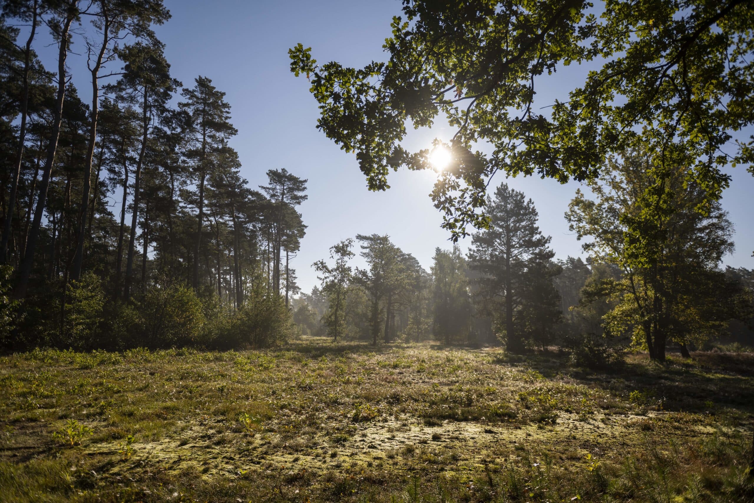 Nationaal Park Hoge Kempen Stad Genk min