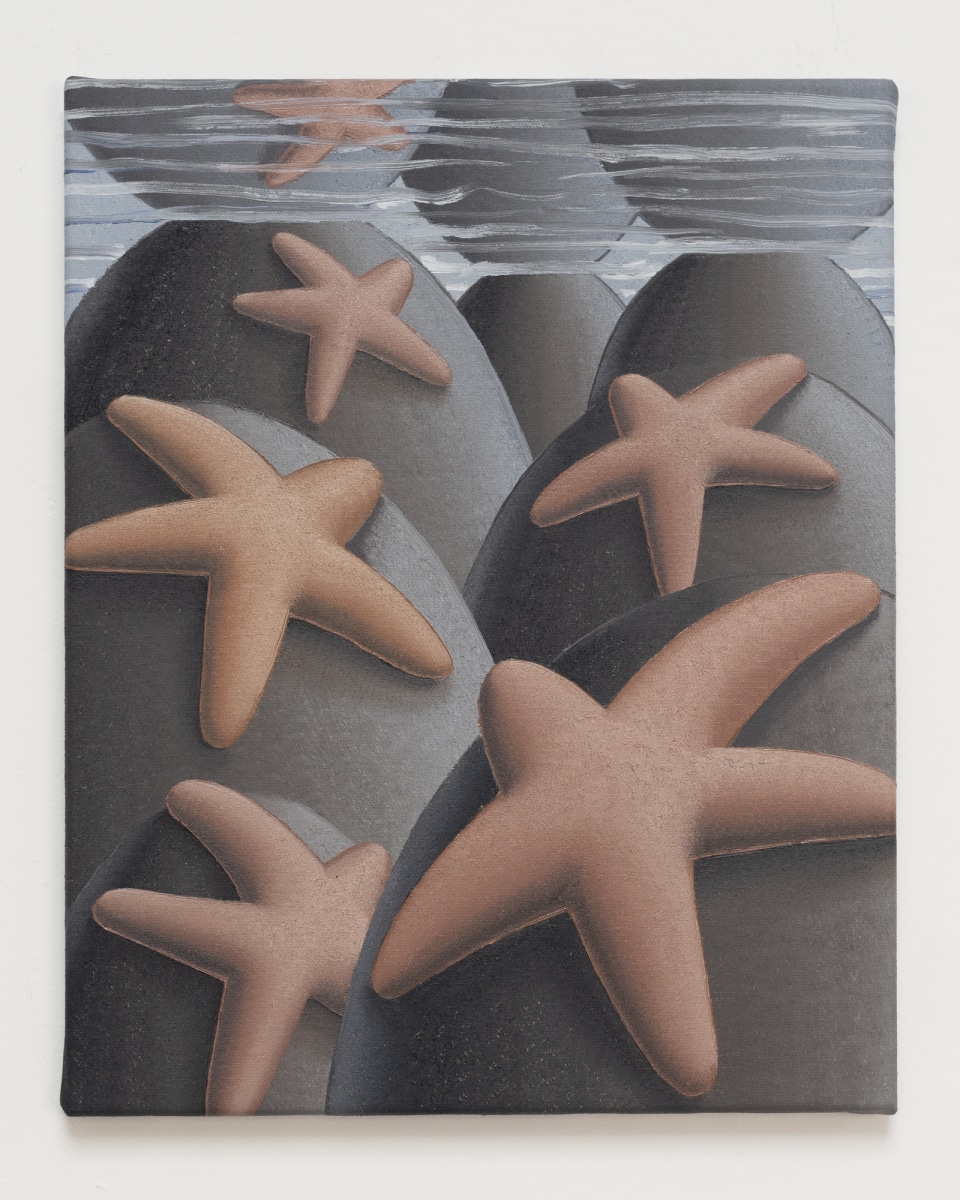 Resting Sea Stars 2020