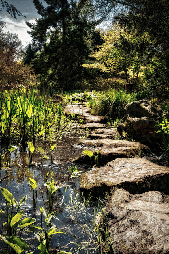 Arboretum