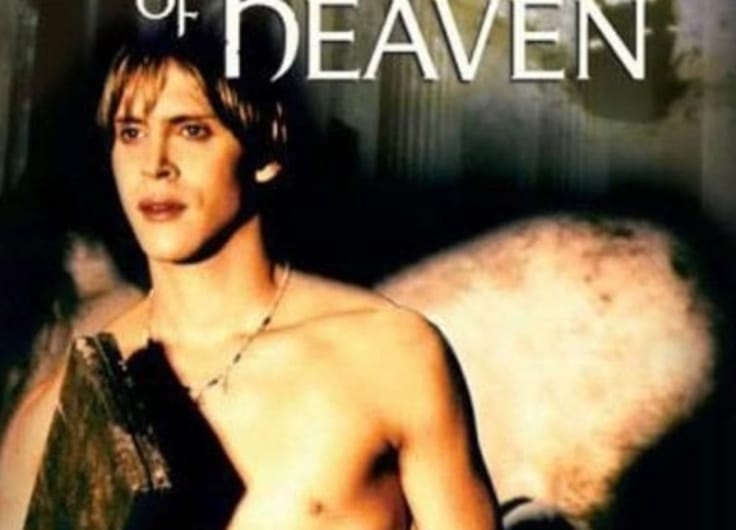 Discovery of heaven film