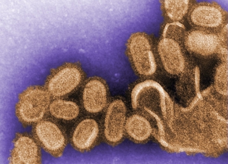 Griepvirus