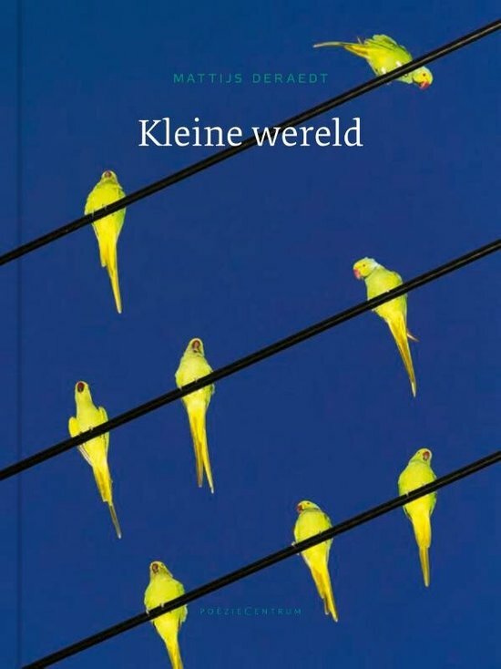 Kleine wereld grote cover