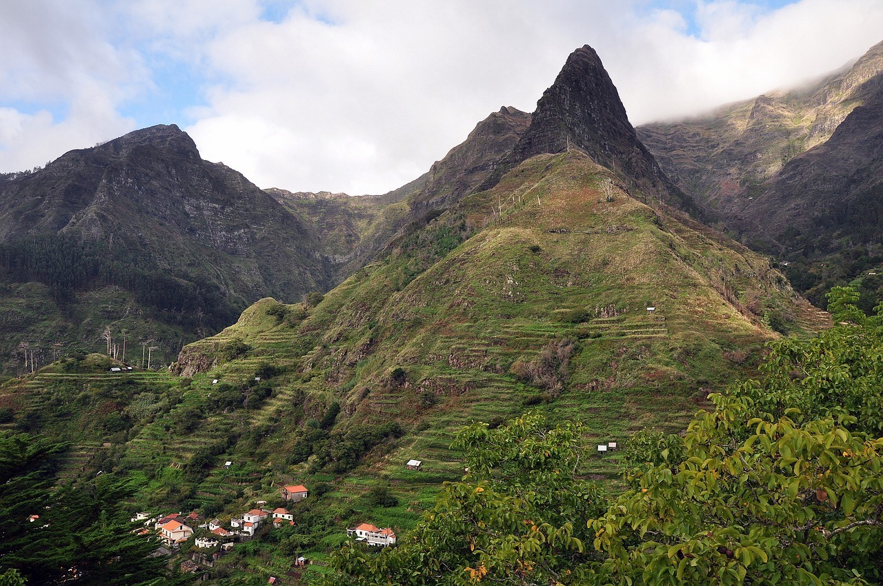 Madeira Dalmavajpg