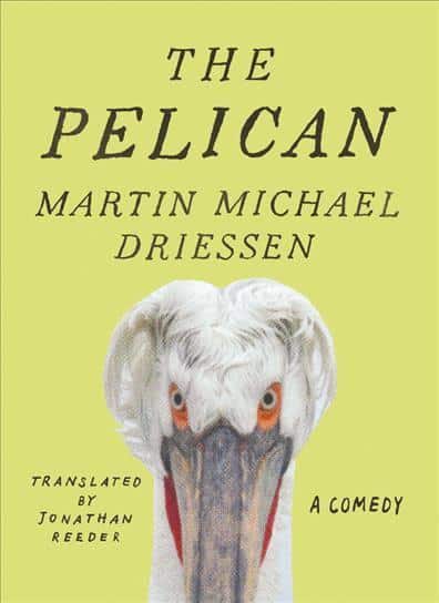 Pelican